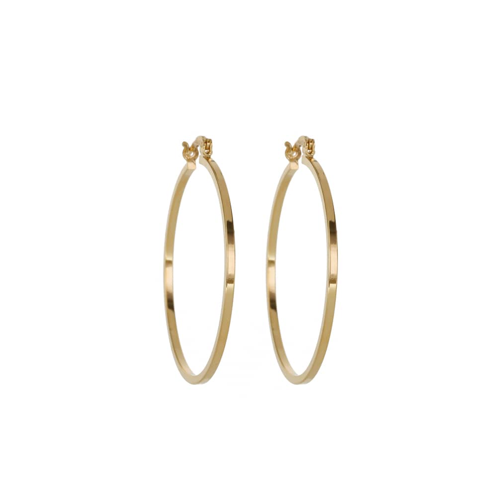 Hoop Earrings