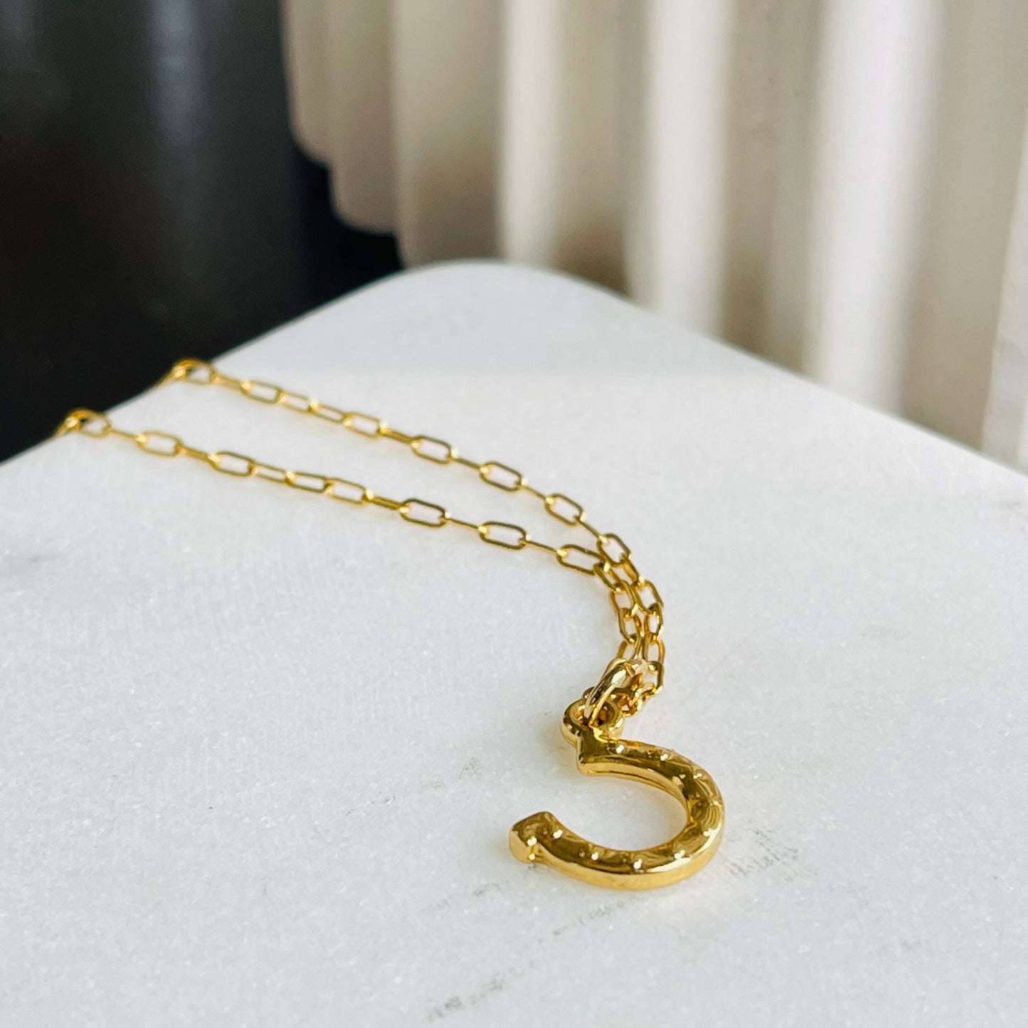 Horseshoe Necklace